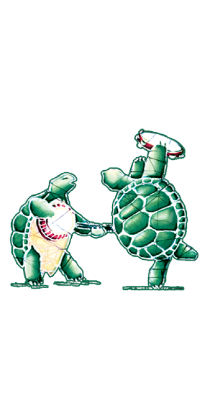 Grateful Dead Terrapins Sticker 5.5"