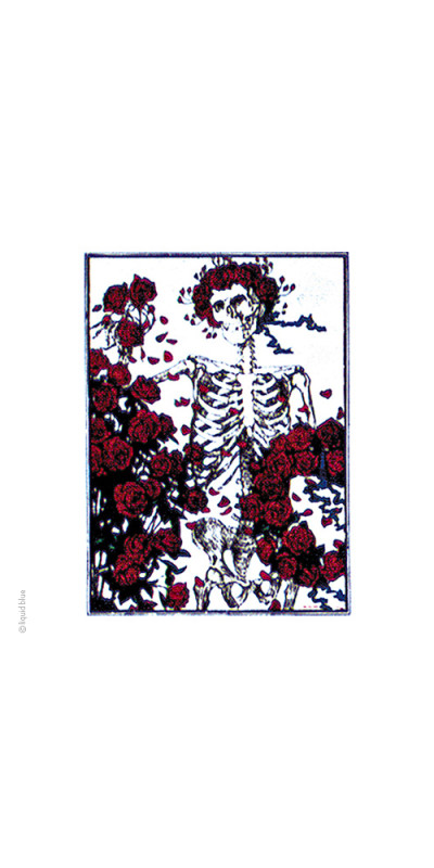 Grateful Dead Classic Bertha Sticker 5"