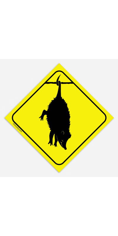 Possum Sticker 4"
