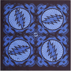 Grateful Dead Spin Your Face SYF Bandana Blue 22x22