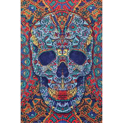 3D Skull Tapestry - Art by Chris Pinkerton