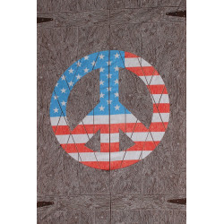 Peace Sign Door Tapestry - Art by Taylar McRee **SALE**
