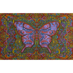 3D Butterfly Daydream Tapestry 90x60 Art by Chris Pinkerton