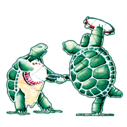 Grateful Dead Terrapins Sticker 5.5"