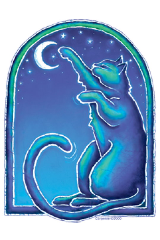 Moon Cat Sticker 5.75"