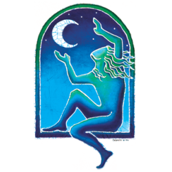 Moon Catcher Sticker 5.5"