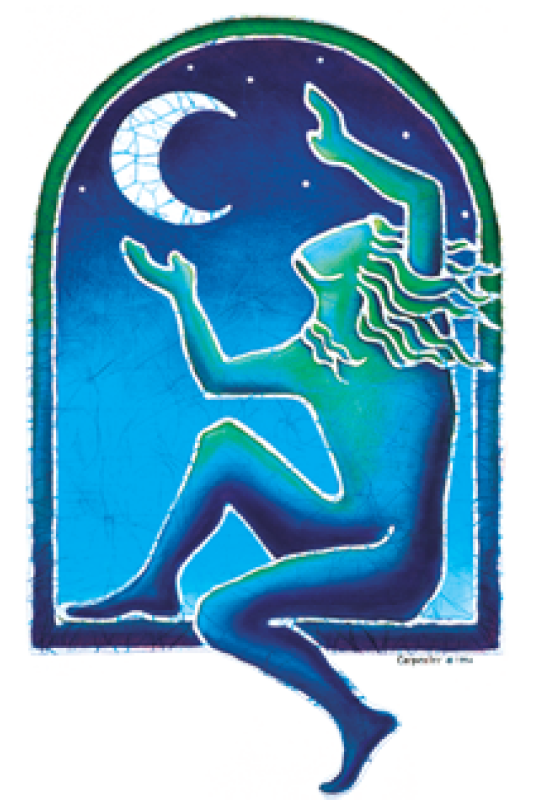 Moon Catcher Sticker 5.5"