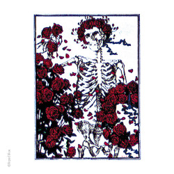 Grateful Dead Classic Bertha Sticker 5"
