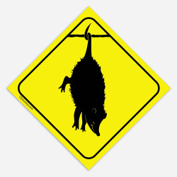 Possum Sticker 4"