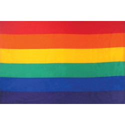 Gay Pride Flag Tapestry