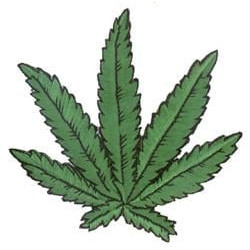 Leaf Patch, Large 4"