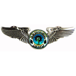 Grateful Dead GD Skull & Roses Pilot  Pin Rockwings