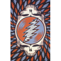 Grateful Dead Spin Your Face Tapestry Red White Blue
