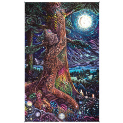 Northern Nights Heady Art Print Mini Tapestry 30x45 - Artwork by Randal Roberts