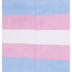 Trans Flag Bandana 22x22
