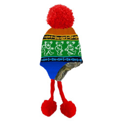 Grateful Dead Bears Ski Hat Rainbow