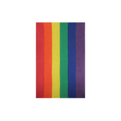 Rainbow Gay Pride Flag Mini Tapestry 30x45