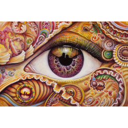 Orange Eye Heady Art Print Tapestry 53x85 - Artwork by Randal Roberts