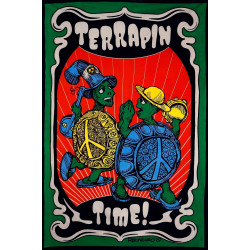 Terrapin Time Mini Tapestry 30x45 - Artwork by Tony Reonegro