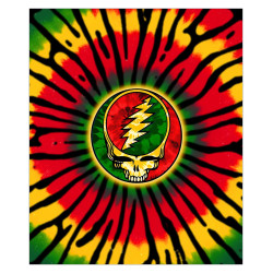 Grateful Dead SYF Rasta Fleece Throw Blanket 50x60 *SALE*