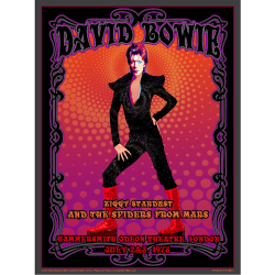 David Bowie Concert Poster 18x24 Inches Artwork by Mike DuBois